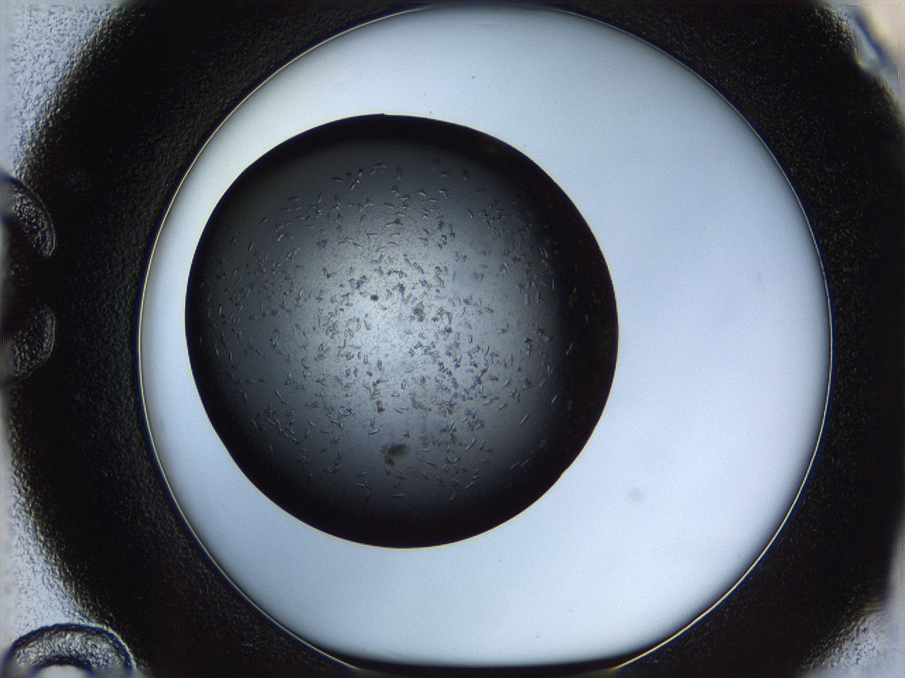 05yl_C12_ImagerDefaults_6.jpg