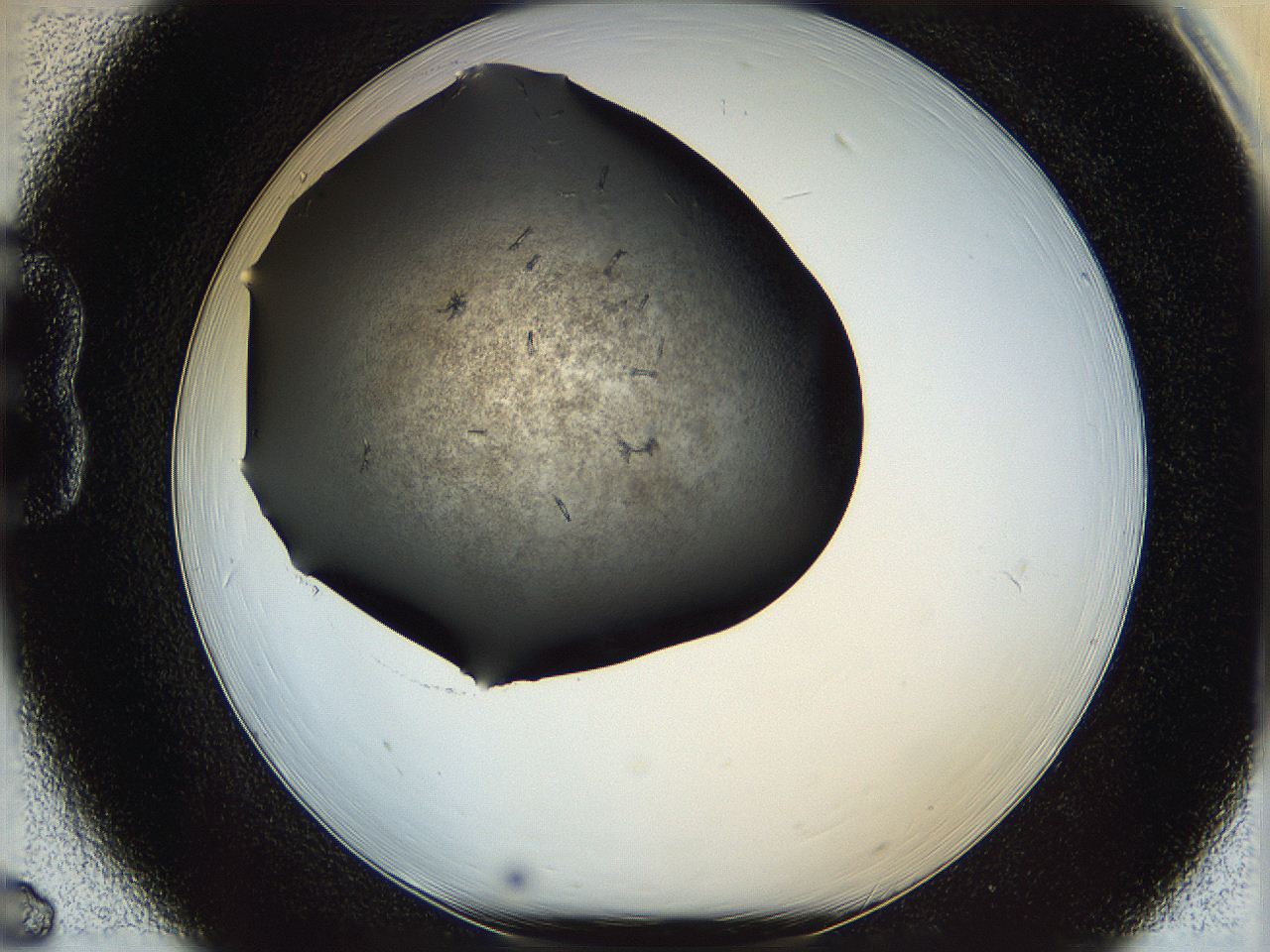 05yl_B6_ImagerDefaults_7.jpg
