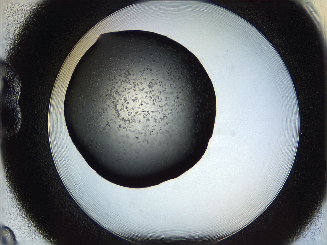 05yl_B8_ImagerDefaults_6.jpg