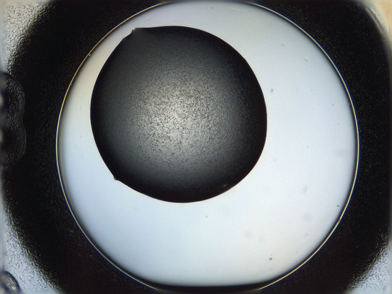 05yl_B9_ImagerDefaults_6.jpg