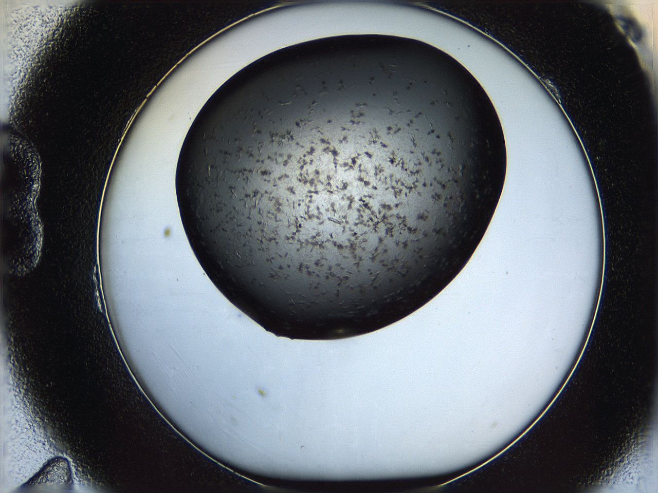 05yl_B11_ImagerDefaults_6.jpg