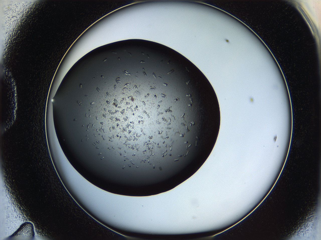 05yl_D11_ImagerDefaults_7.jpg