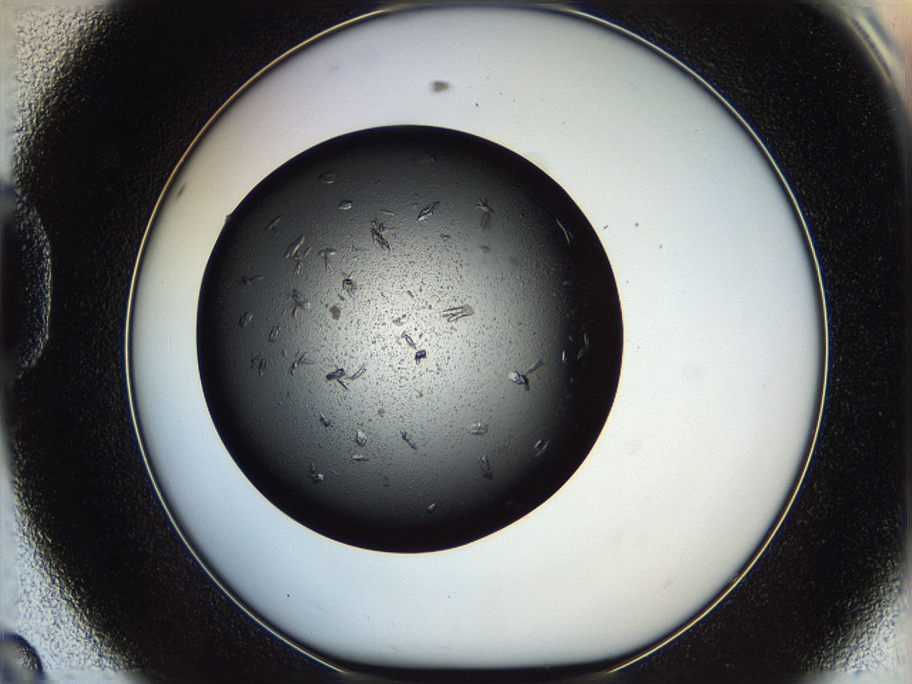 05yl_D8_ImagerDefaults_7.jpg