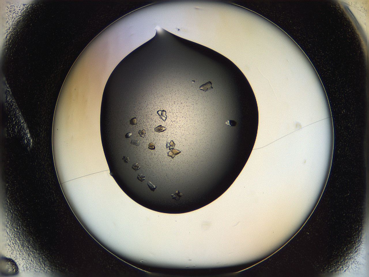 05ym_A6_ImagerDefaults_9.jpg