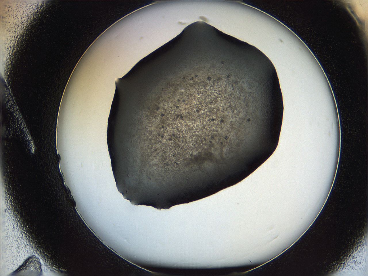 05ym_A11_ImagerDefaults_6.jpg