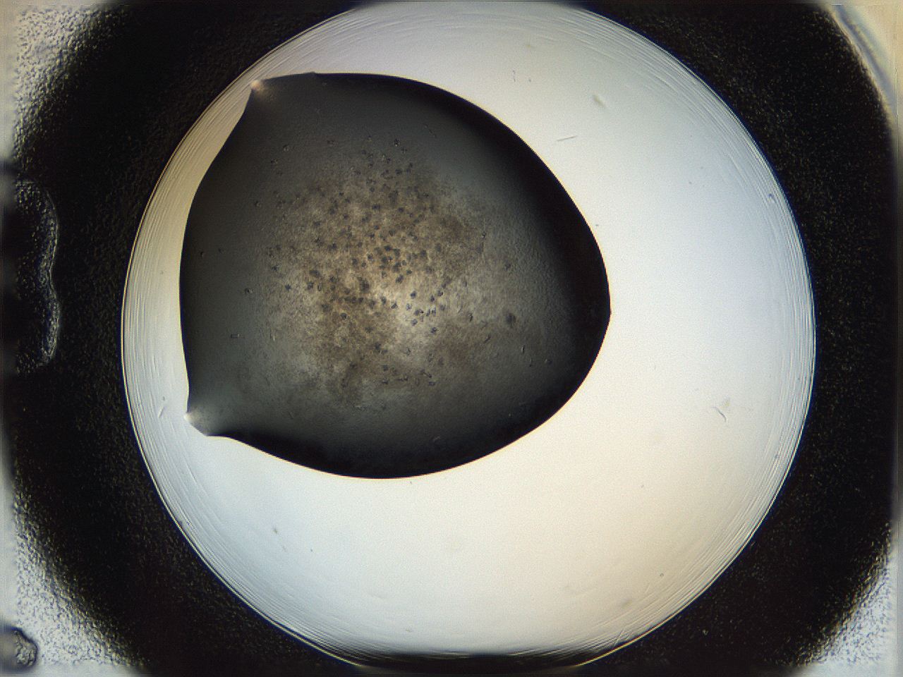 05ym_B6_ImagerDefaults_6.jpg