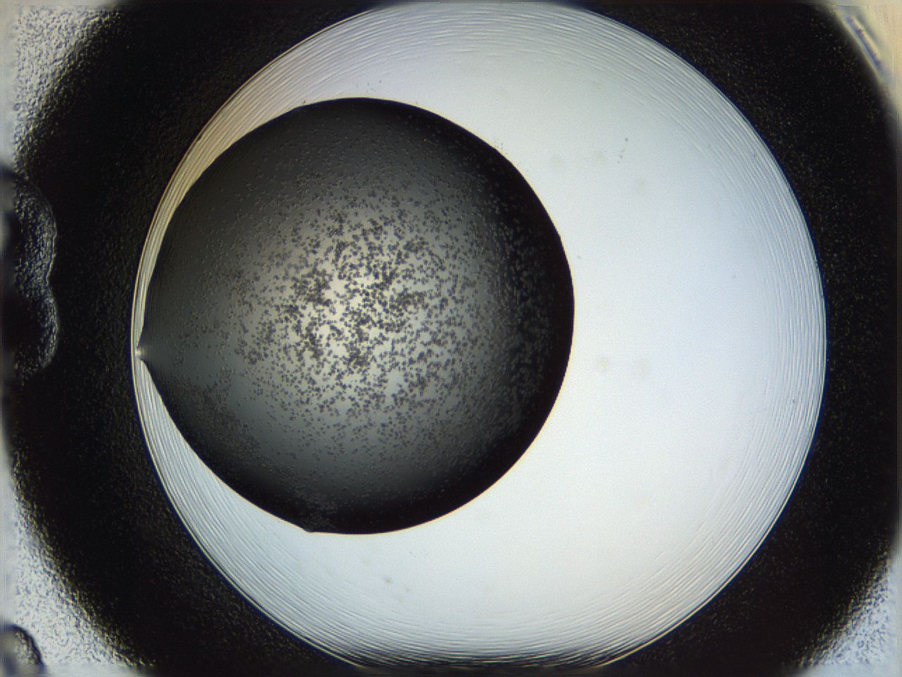 05ym_B8_ImagerDefaults_6.jpg