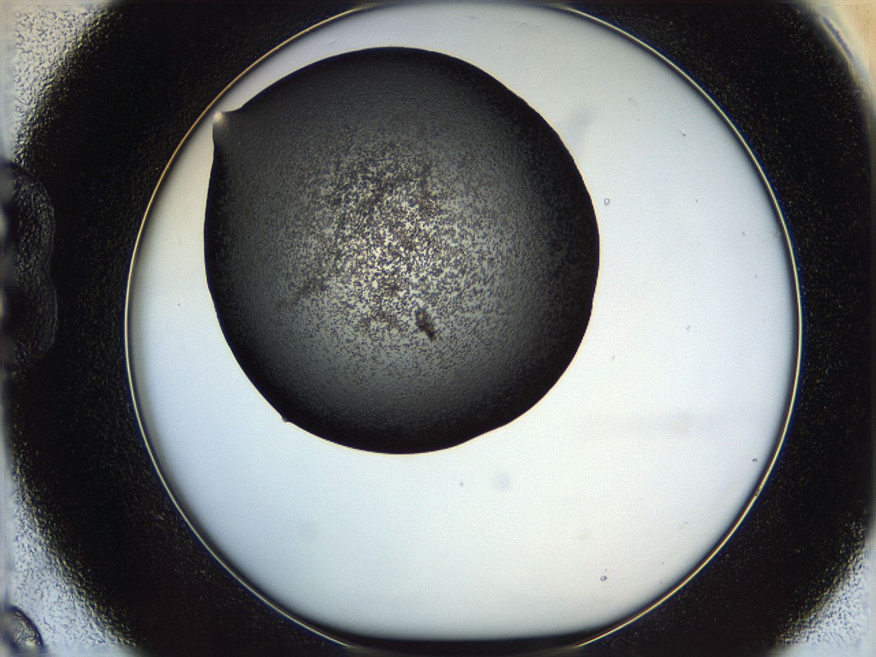 05ym_B9_ImagerDefaults_6.jpg