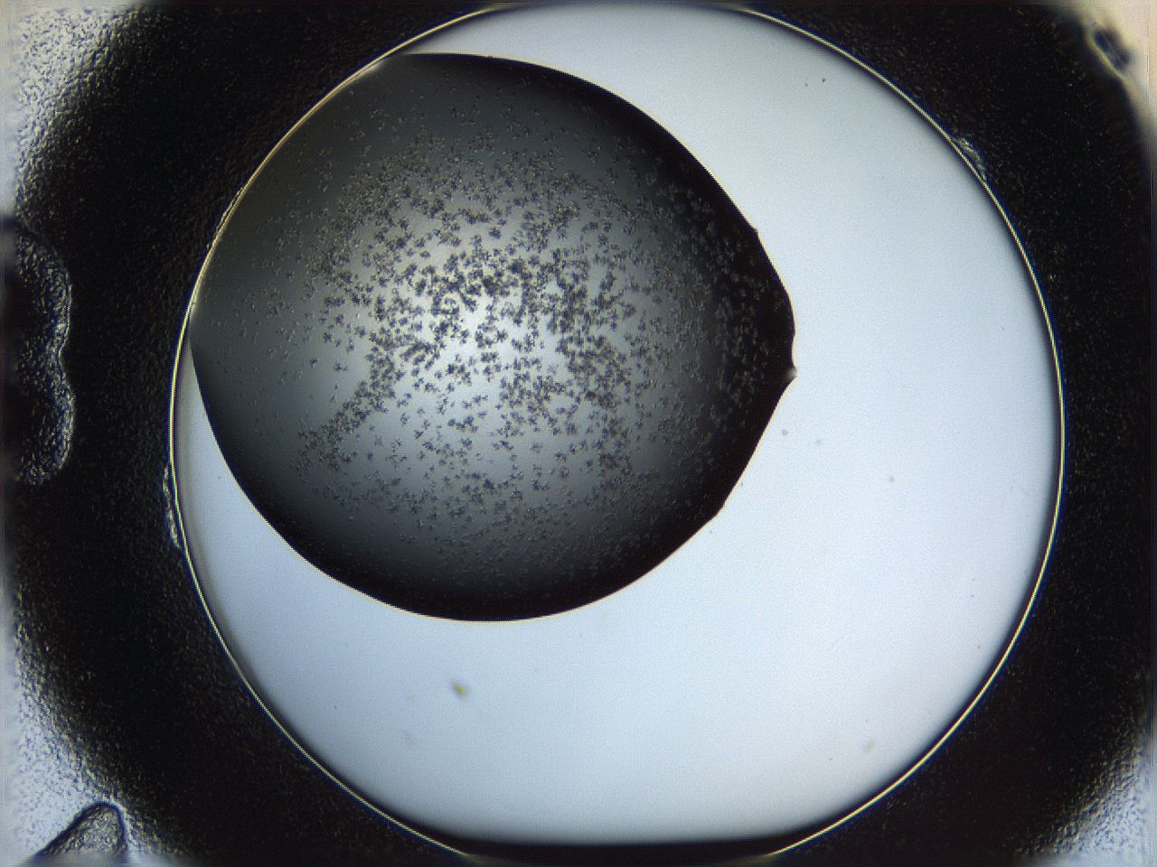 05ym_B11_ImagerDefaults_6.jpg