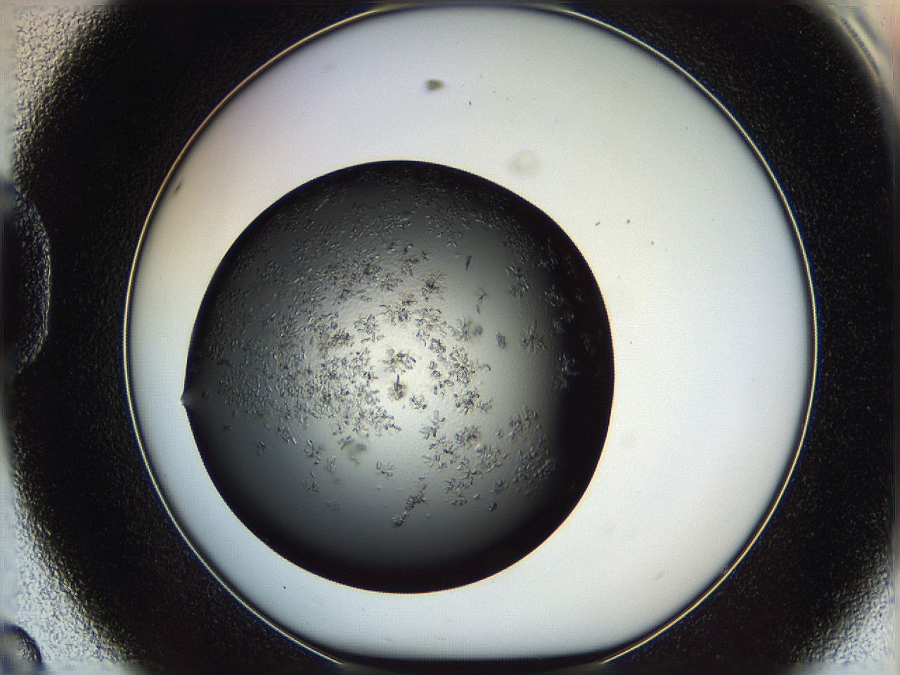 05ym_D8_ImagerDefaults_6.jpg