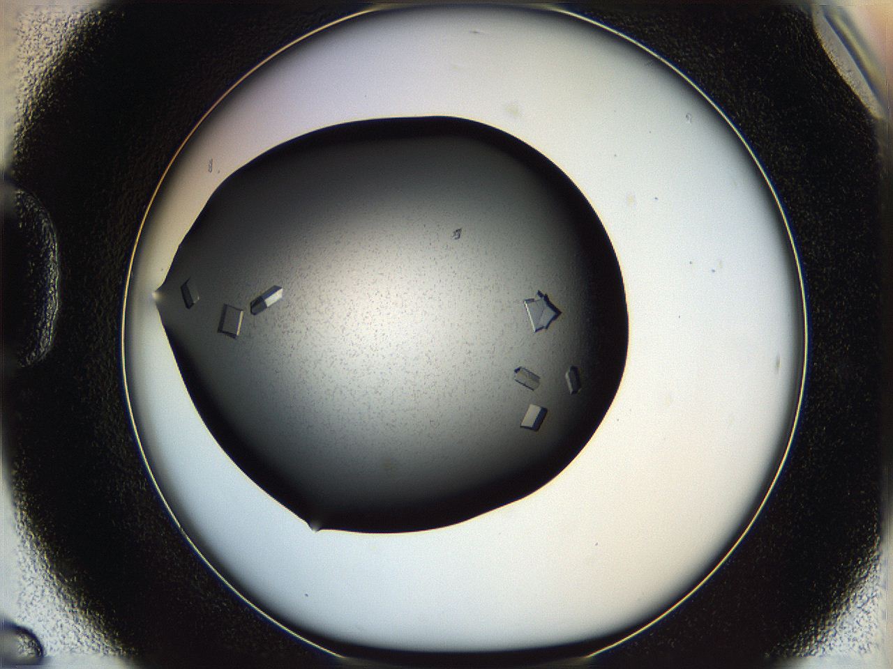 05ym_D6_ImagerDefaults_9.jpg