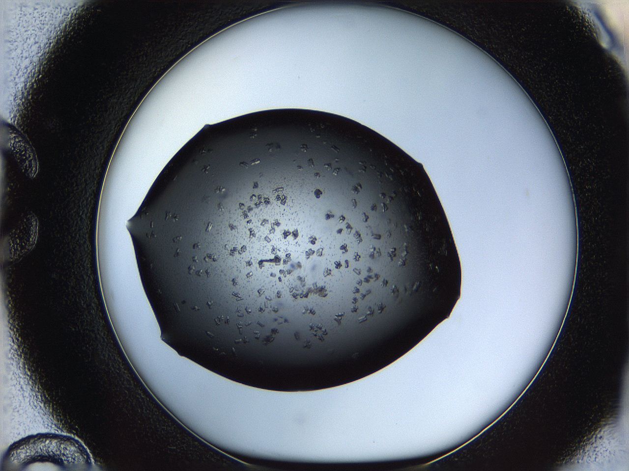 05ym_C12_ImagerDefaults_7.jpg