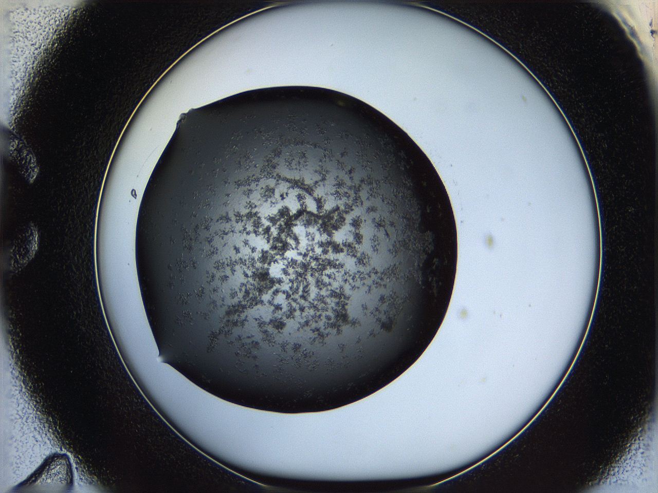05ym_C11_ImagerDefaults_6.jpg