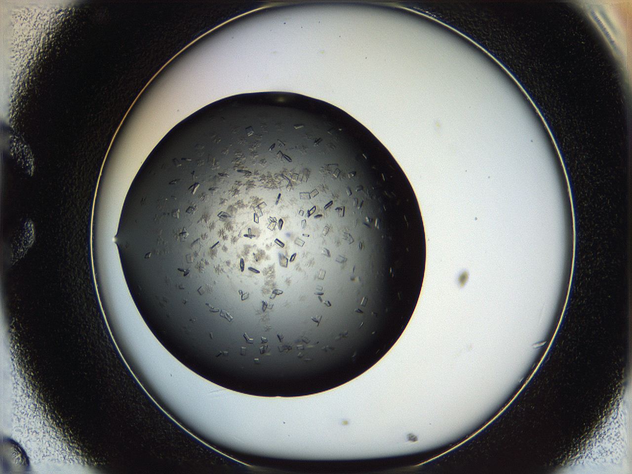 05ym_C8_ImagerDefaults_8.jpg