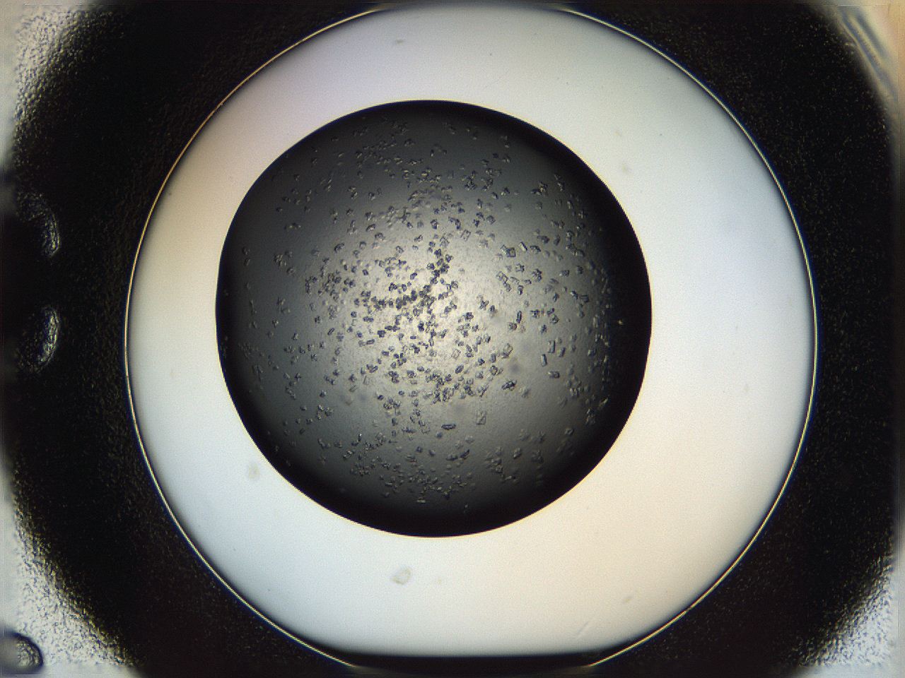 05ym_C6_ImagerDefaults_7.jpg