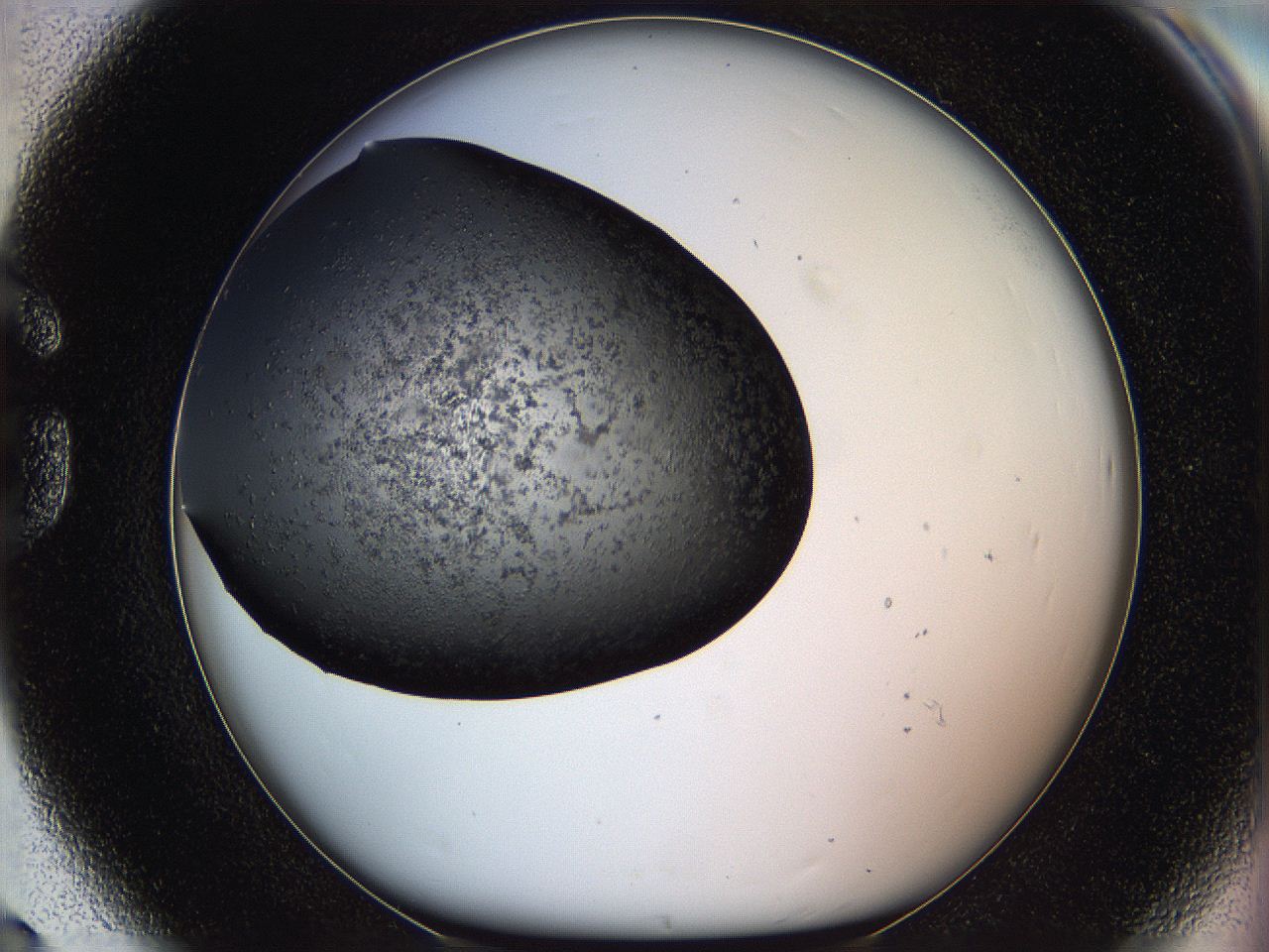 05ym_G8_ImagerDefaults_6.jpg