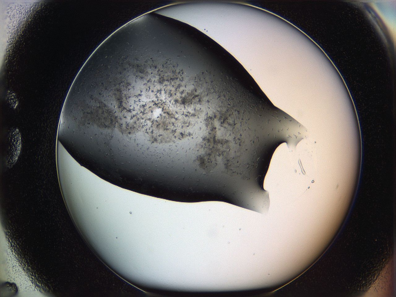 05ym_G7_ImagerDefaults_6.jpg