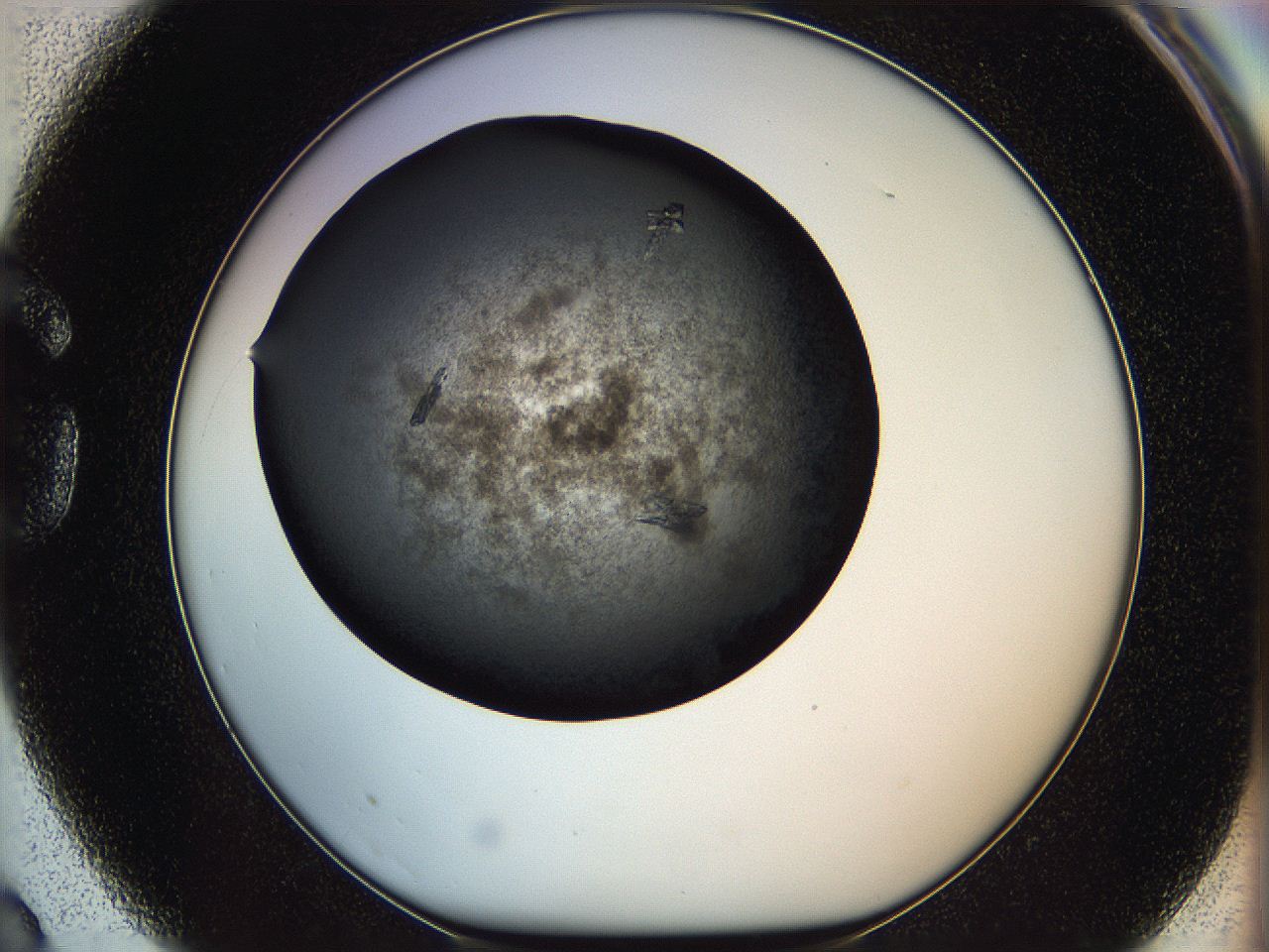 05ym_G3_ImagerDefaults_7.jpg