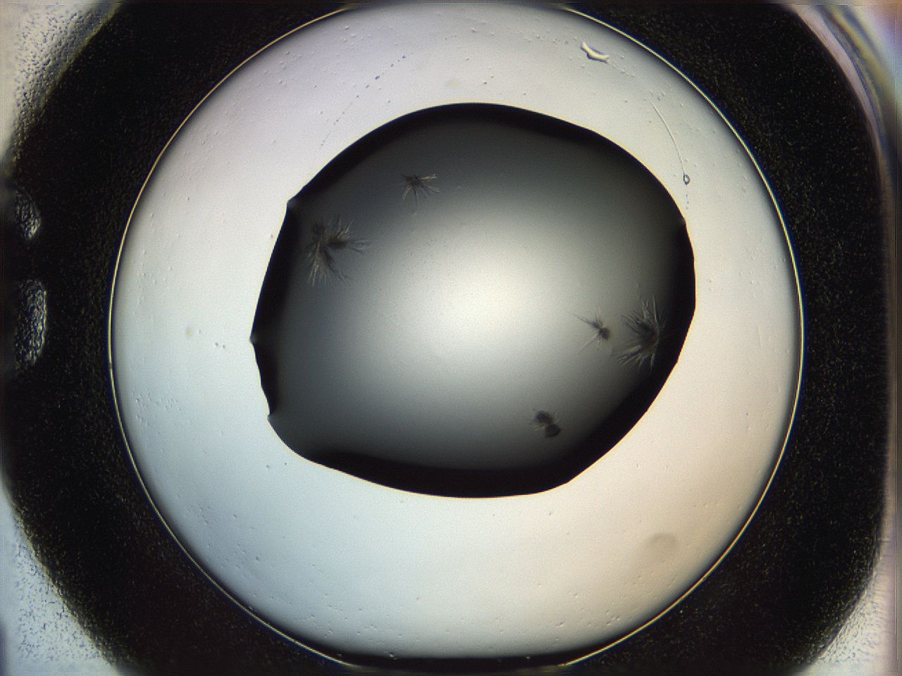 05ym_G1_ImagerDefaults_6.jpg