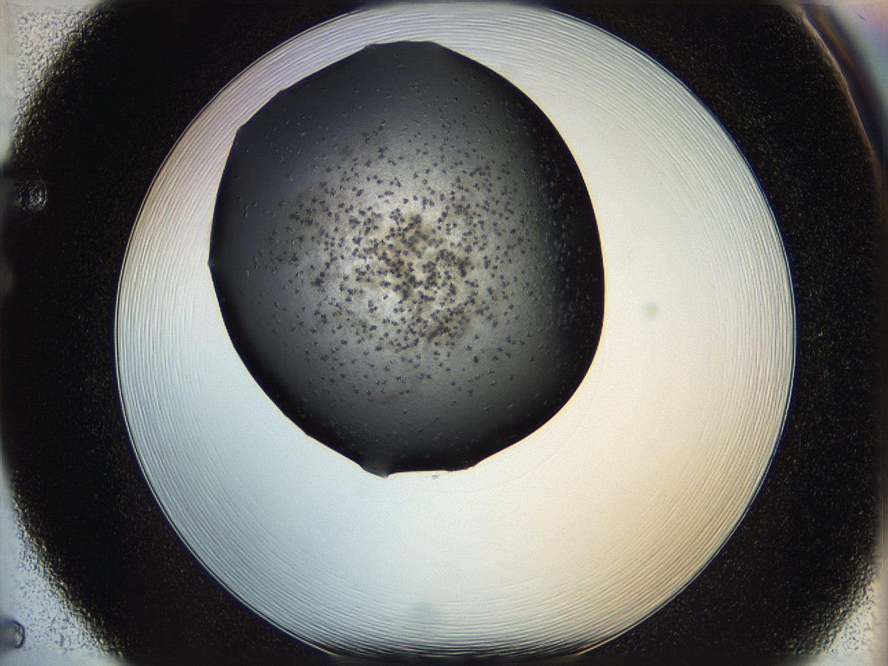 05ym_F5_ImagerDefaults_6.jpg