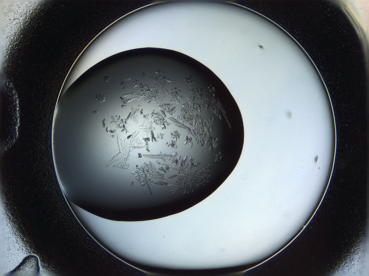 05ym_D11_ImagerDefaults_7.jpg