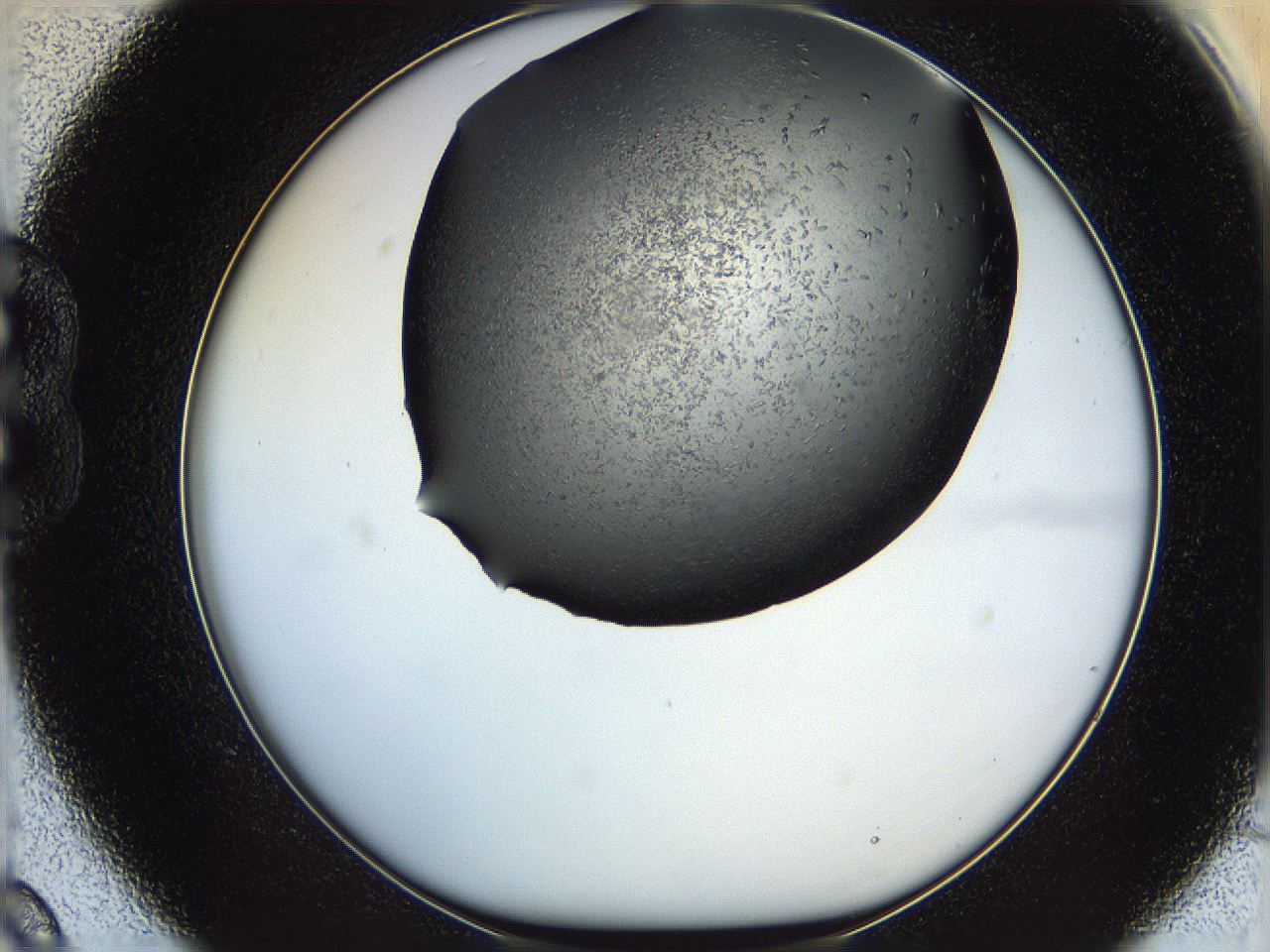 05yn_B9_ImagerDefaults_6.jpg