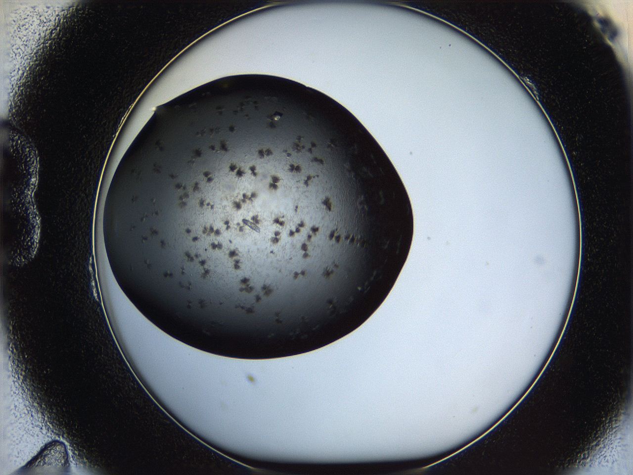05yn_B11_ImagerDefaults_8.jpg