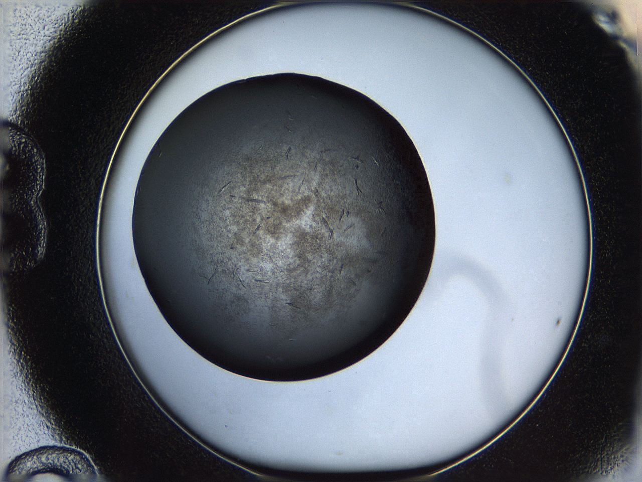 05yn_B12_ImagerDefaults_6.jpg