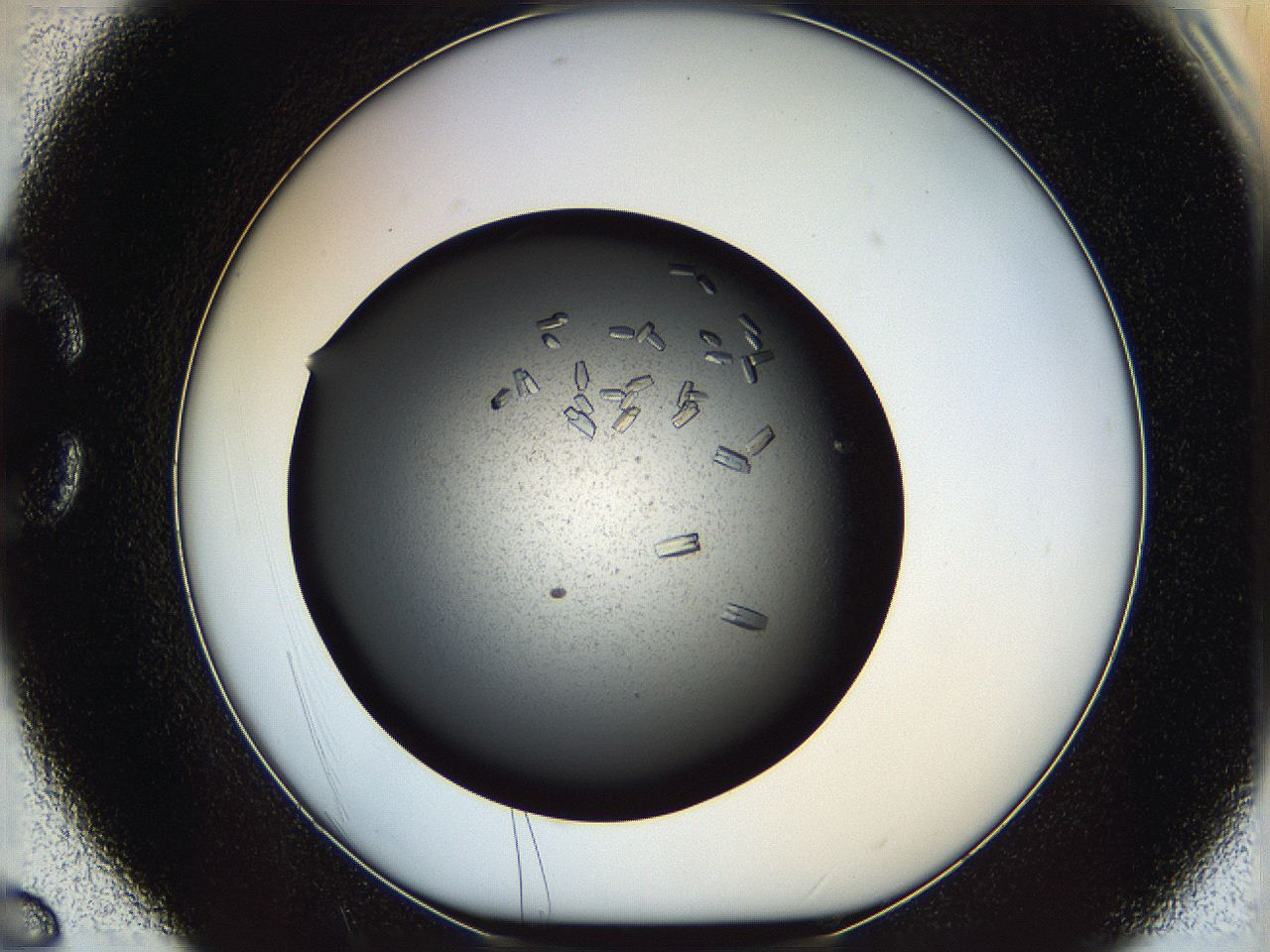 05yn_C6_ImagerDefaults_9.jpg