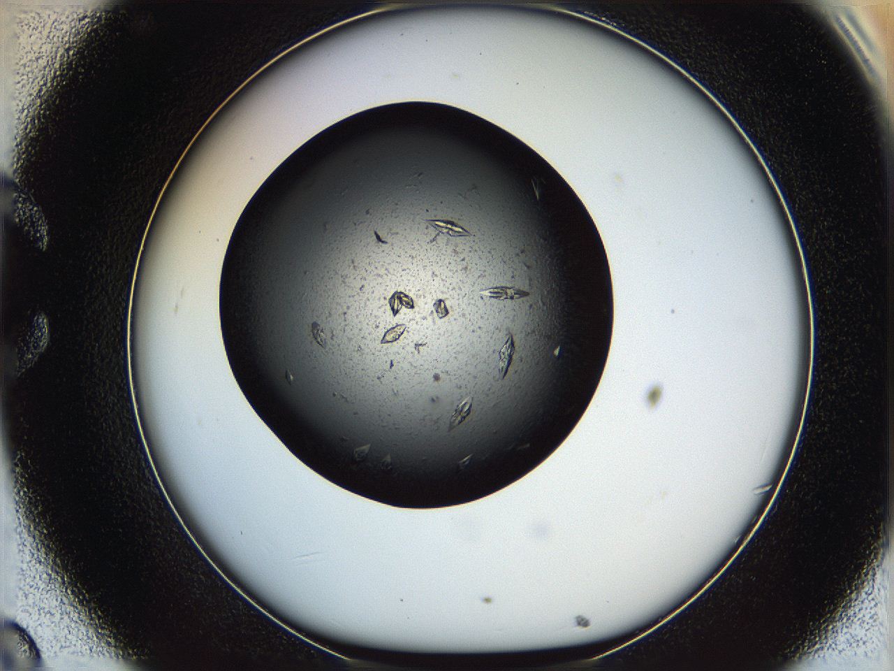 05yn_C8_ImagerDefaults_9.jpg