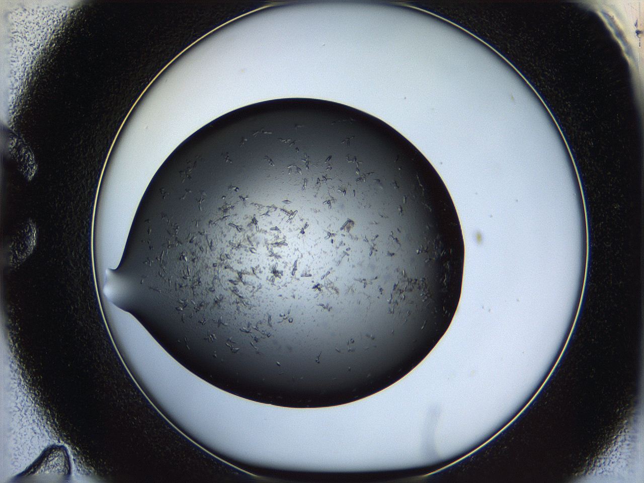 05yn_C11_ImagerDefaults_7.jpg