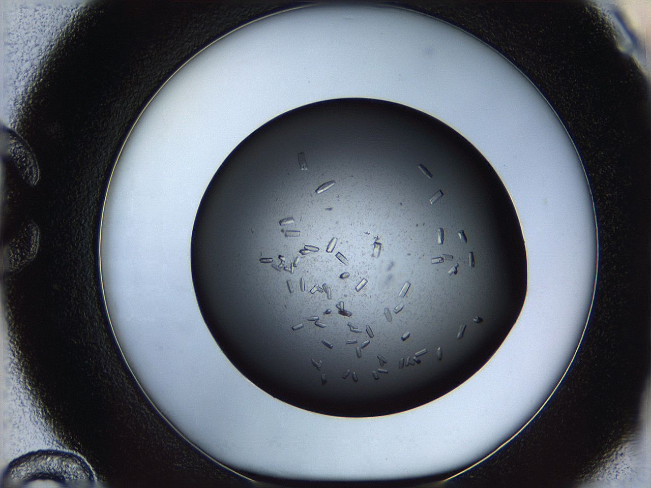 05yn_C12_ImagerDefaults_9.jpg