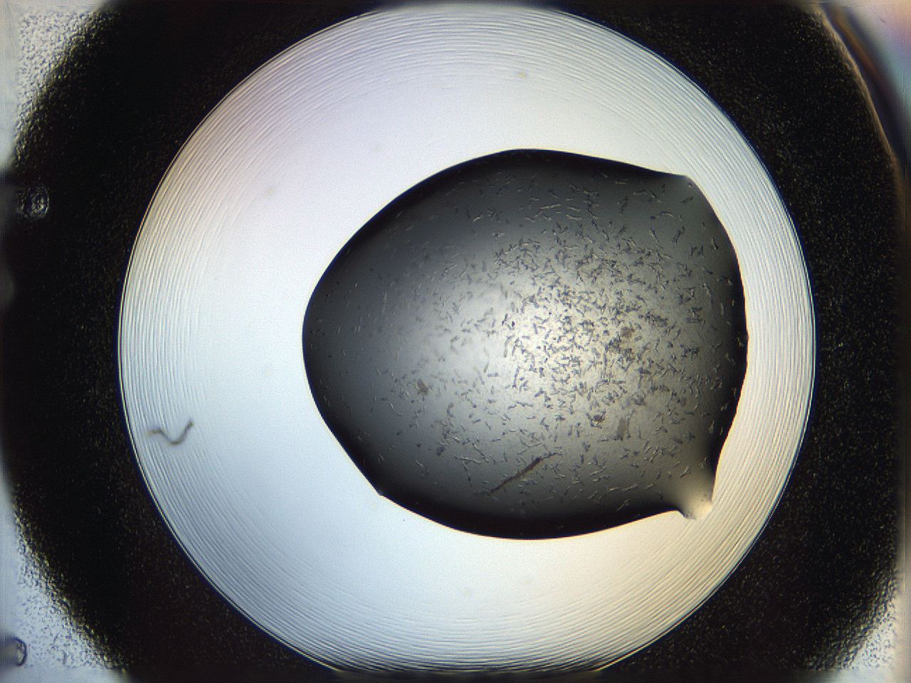 05yn_F5_ImagerDefaults_7.jpg