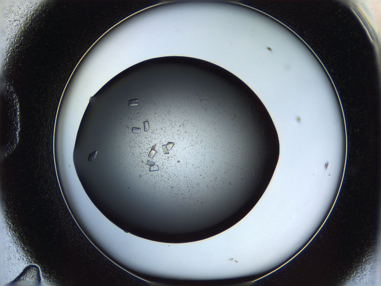05yn_D11_ImagerDefaults_9.jpg