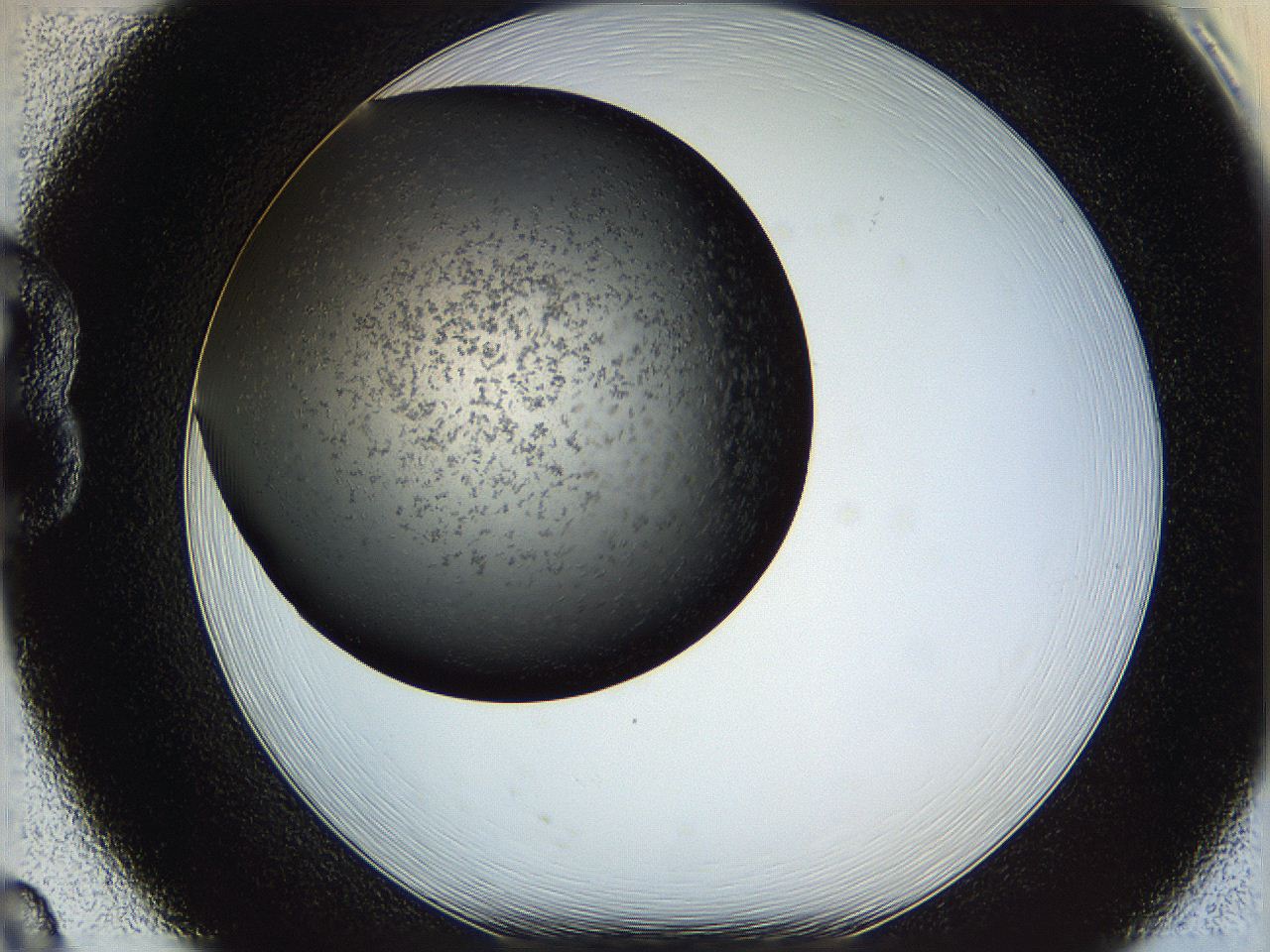05yn_B8_ImagerDefaults_6.jpg
