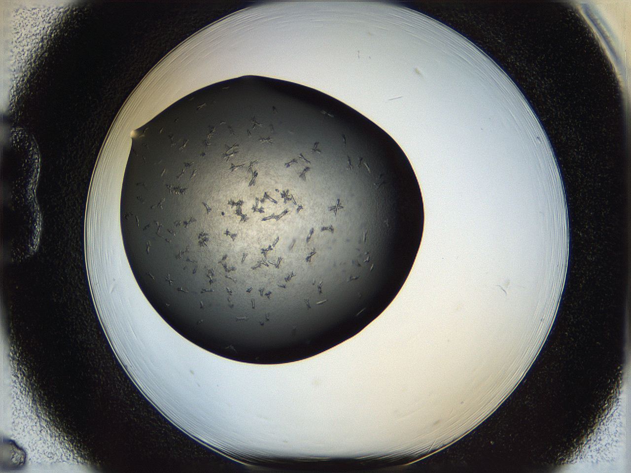 05yn_B6_ImagerDefaults_7.jpg