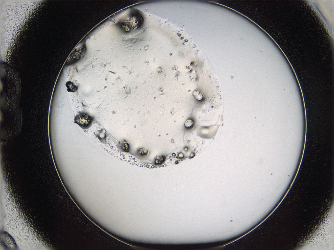 05yp_B9_ImagerDefaults_9.jpg