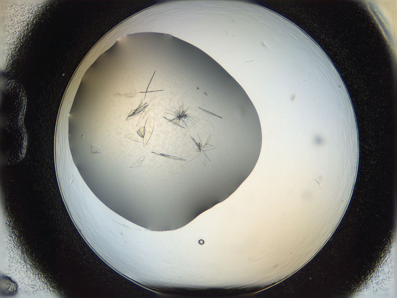 05yp_B6_ImagerDefaults_6.jpg