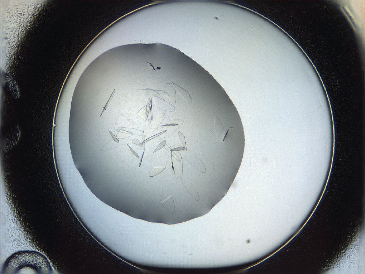 05yp_C10_ImagerDefaults_6.jpg