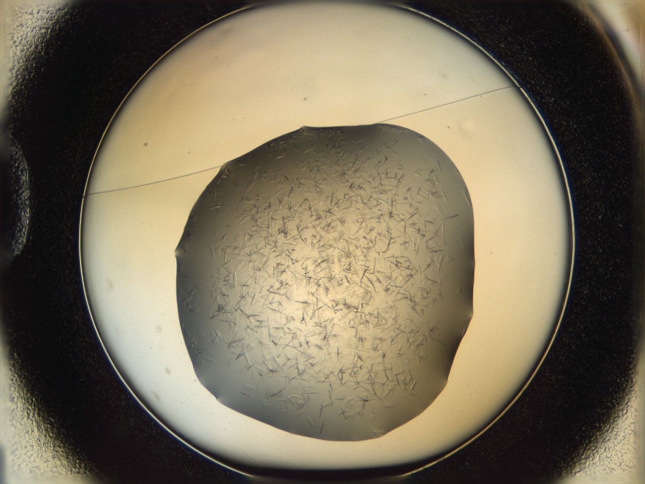 05yp_D1_ImagerDefaults_7.jpg