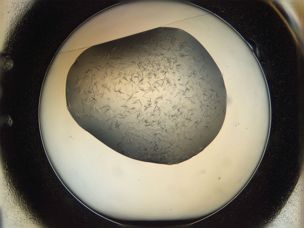 05yp_E1_ImagerDefaults_7.jpg