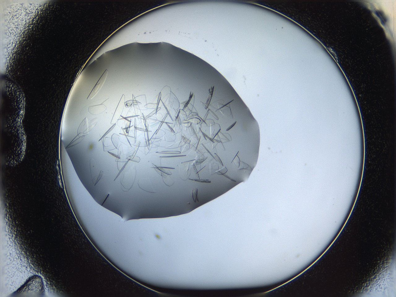 05yp_B11_ImagerDefaults_7.jpg