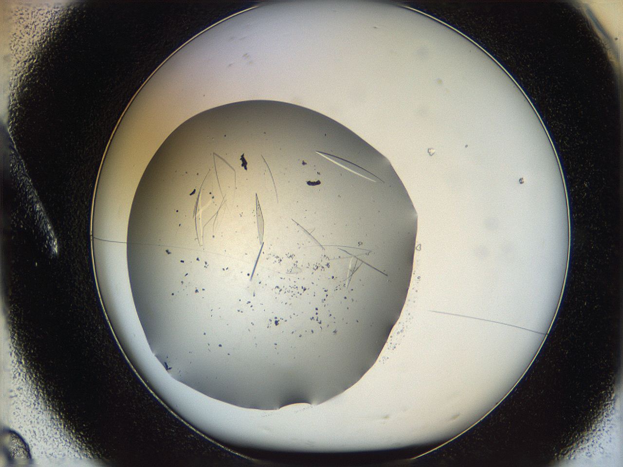 05yp_A8_ImagerDefaults_7.jpg