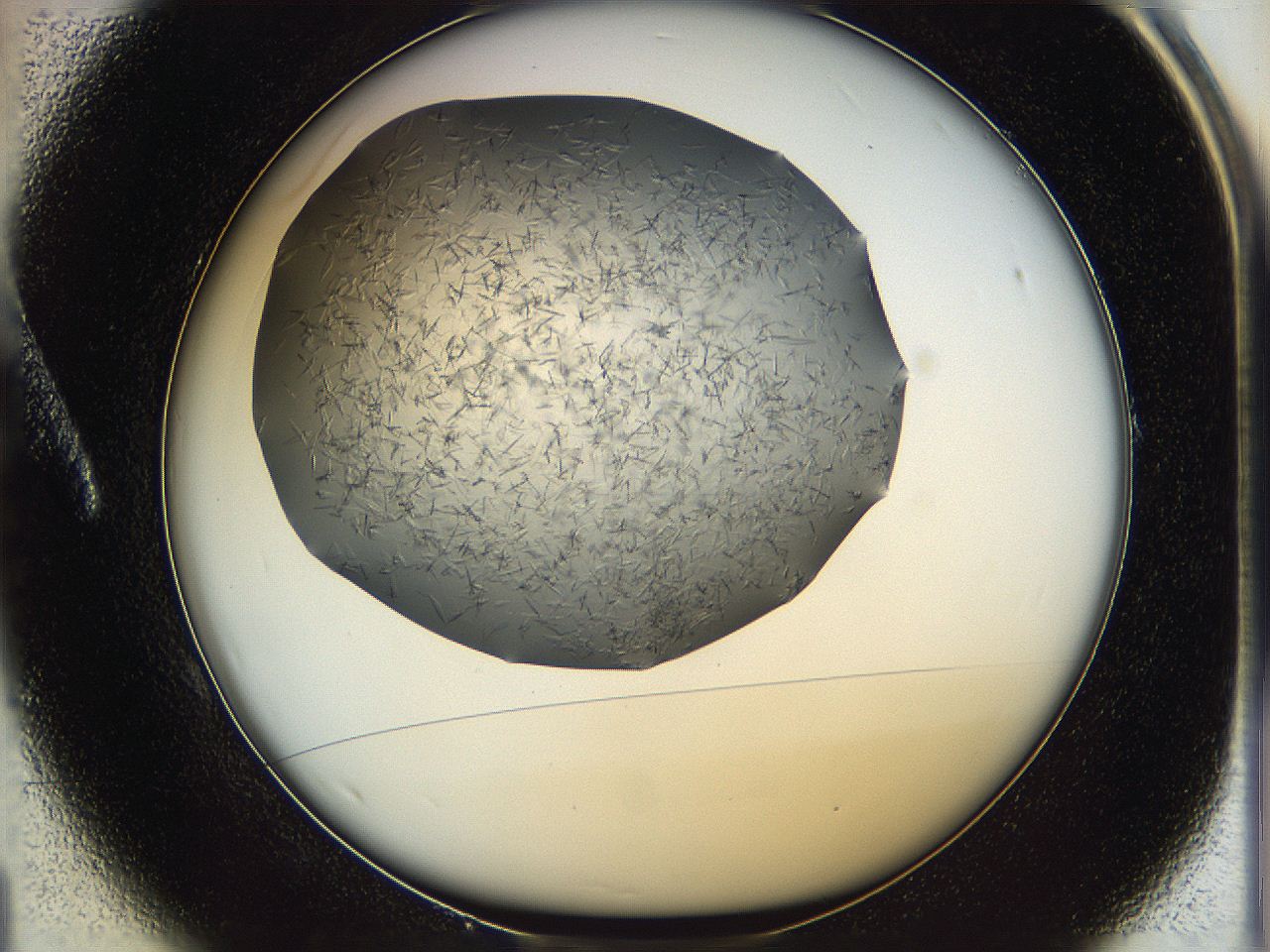 05yp_A1_ImagerDefaults_6.jpg