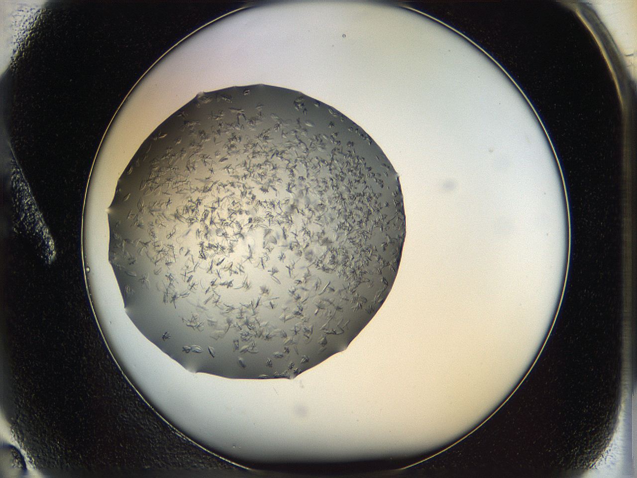 05yp_A2_ImagerDefaults_6.jpg
