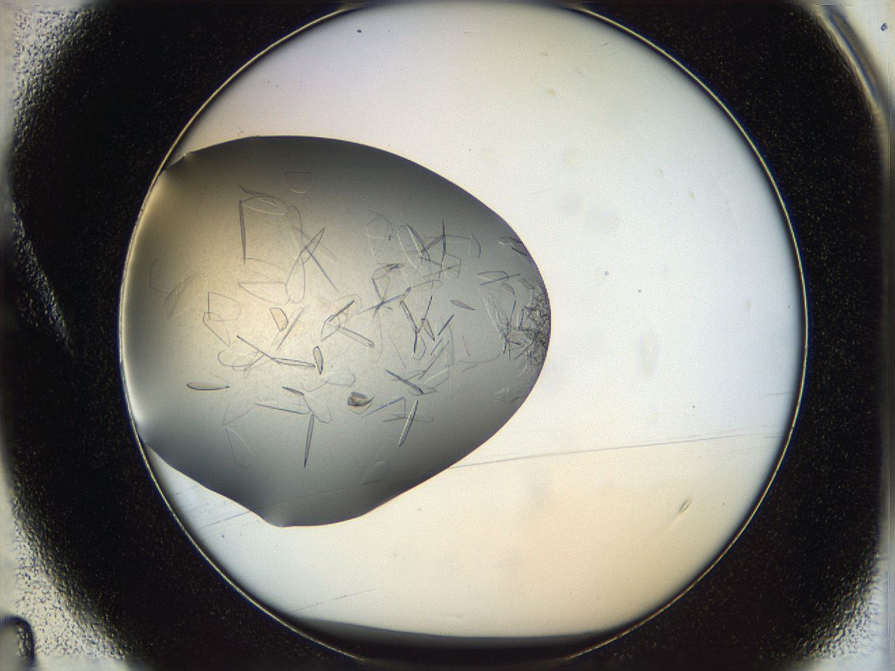 05yp_A4_ImagerDefaults_7.jpg