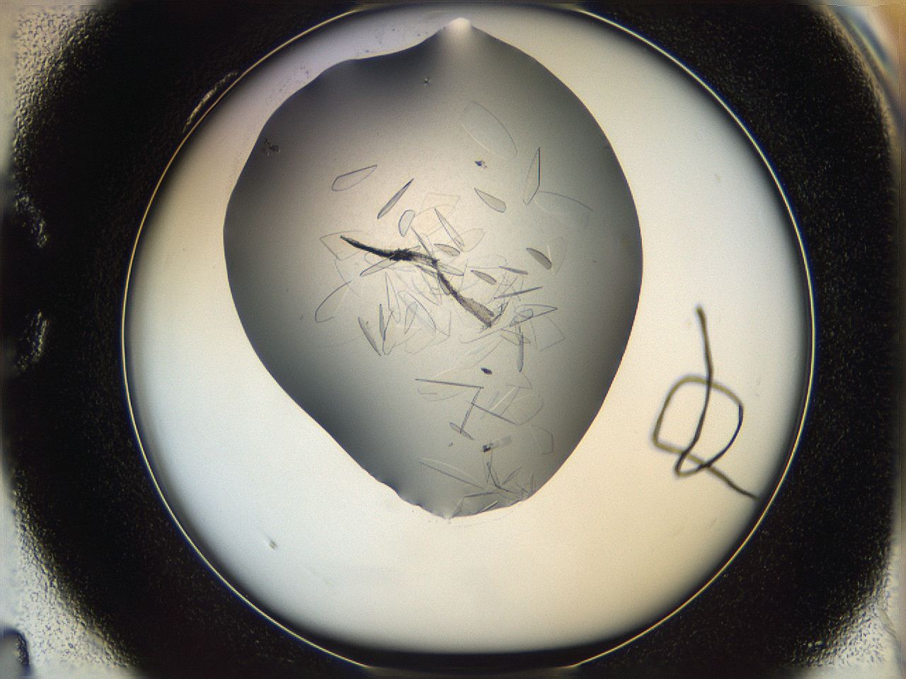 05yp_C4_ImagerDefaults_8.jpg
