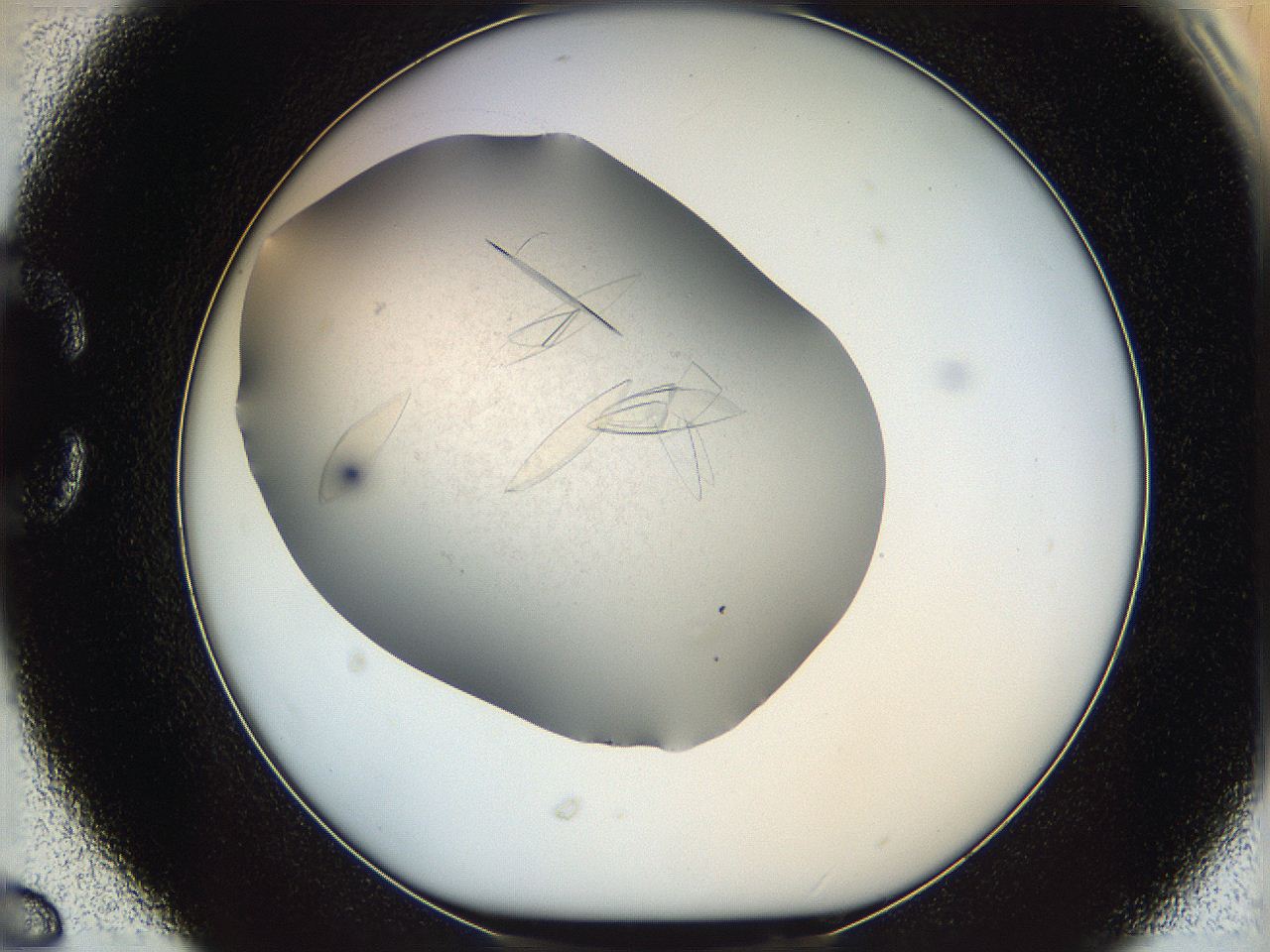 05yp_C6_ImagerDefaults_8.jpg