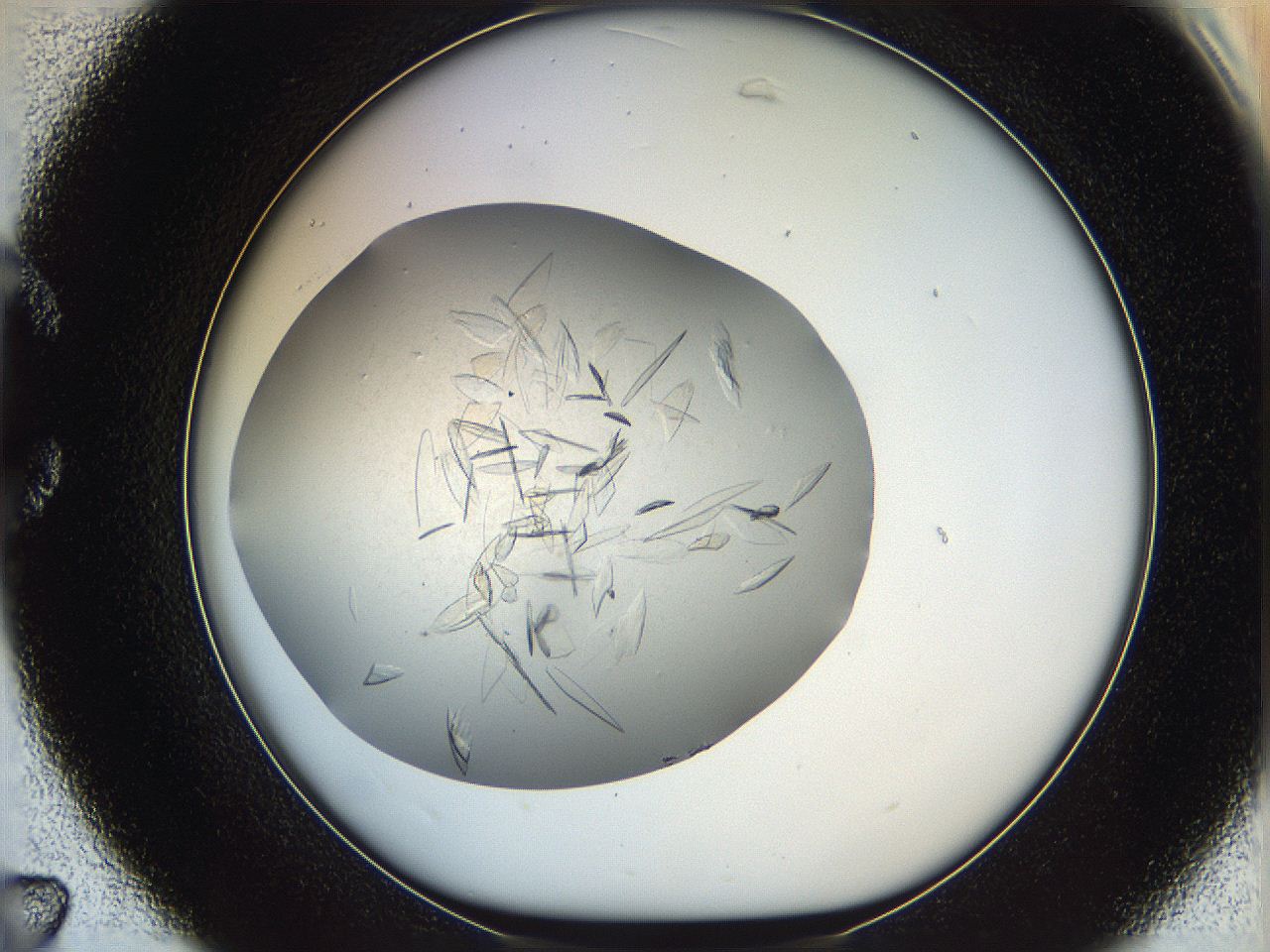 05yp_C7_ImagerDefaults_6.jpg