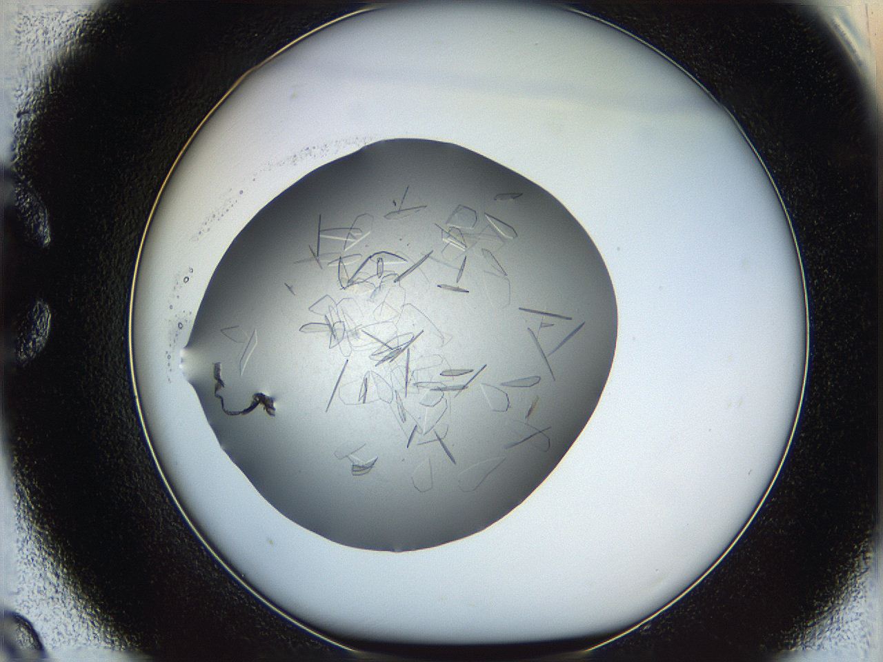 05yp_C9_ImagerDefaults_6.jpg